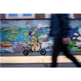 Segway B110S eScooter Dark Grey/Black 25km/h tot 140km actieradius* - rijklaar