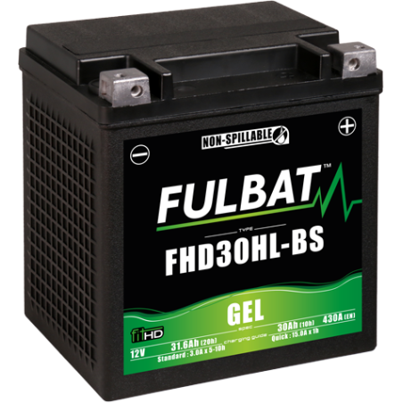 Segway battery  FHD30HL-BS GEL 12Volt  Capacity:32Ah/31,6Ah  CCA:430Amp  L:165 W:130 H:175   P/N:550882  Polarity: - / +